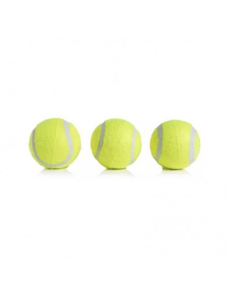 Pack de pelotas de tenis Dingli gympro.cl